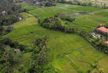 Gianyar Villas