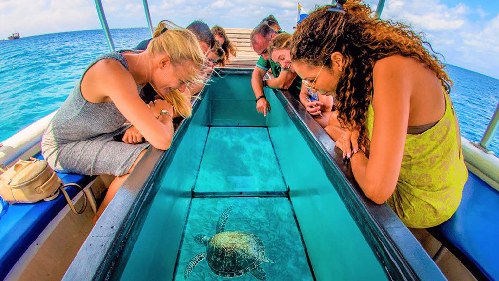 Bali Glass Bottom Boat at Tanjung Benoa: Explore the Ocean in Comfort