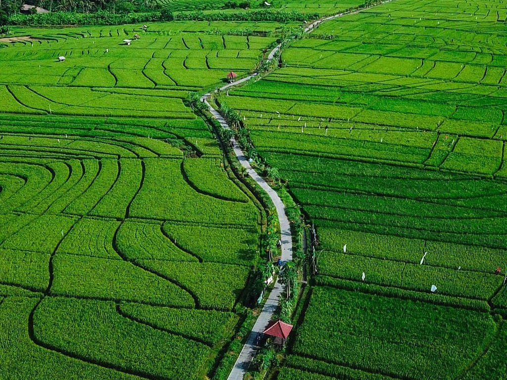 Welcome to Bali