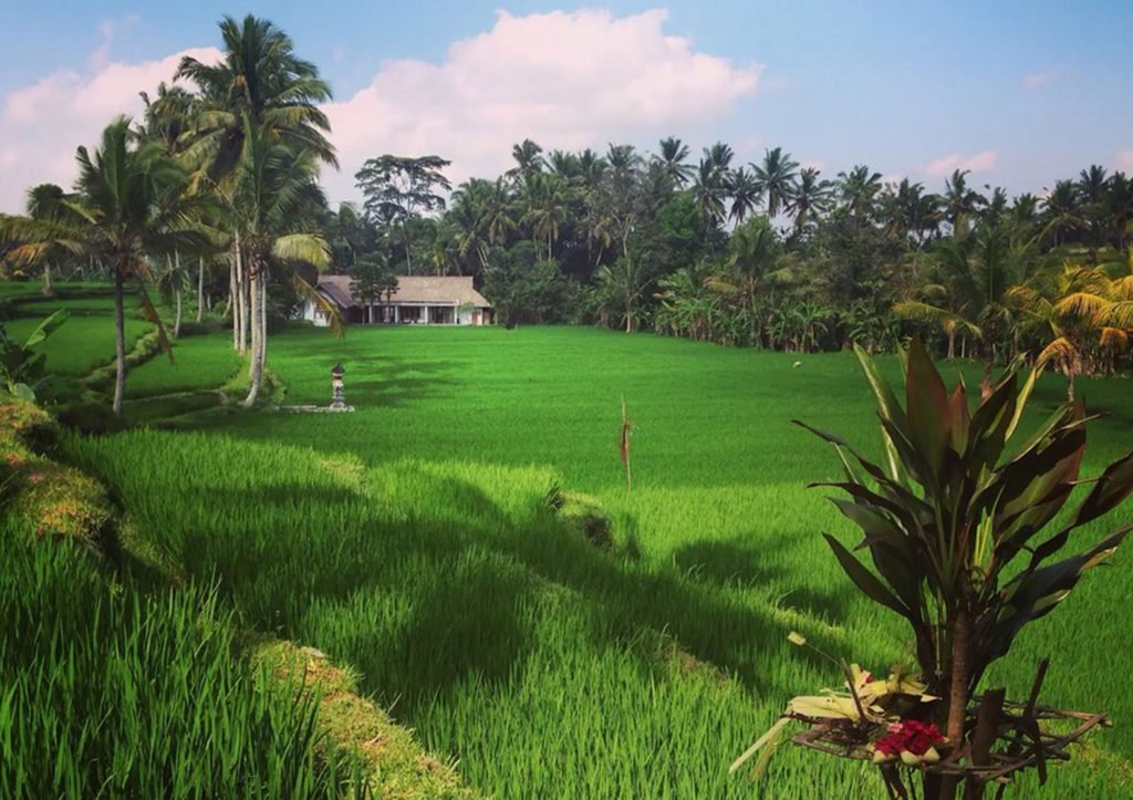 Bedroom Beautiful Rice Field Villa — Your Serene Sanctuary in Ubud, Bali – BVI31902
