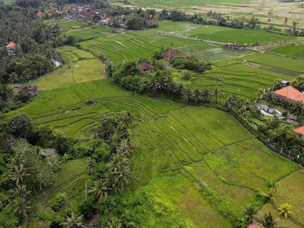 Gianyar
